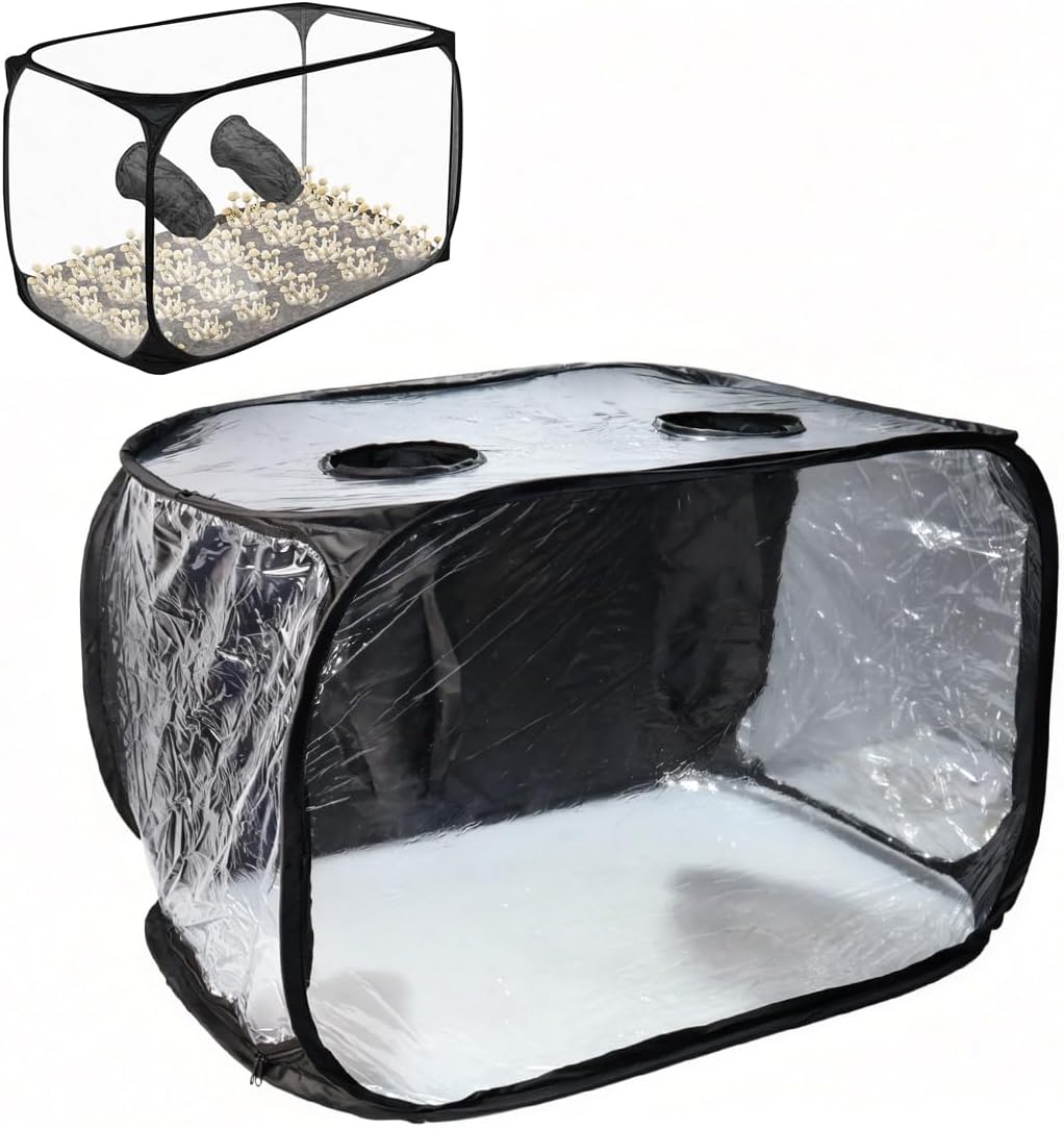 Sarini Mushroom Cultivation Still Air Box - Faltbare Transparente Pilz Wachsen Zelt Kit, Growing Kit