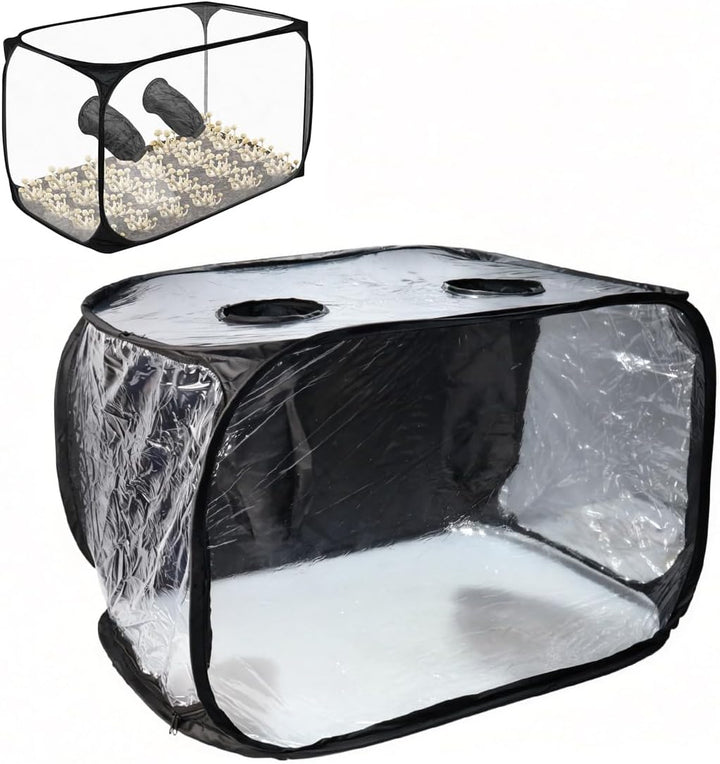 Sarini Mushroom Cultivation Still Air Box - Faltbare Transparente Pilz Wachsen Zelt Kit, Growing Kit