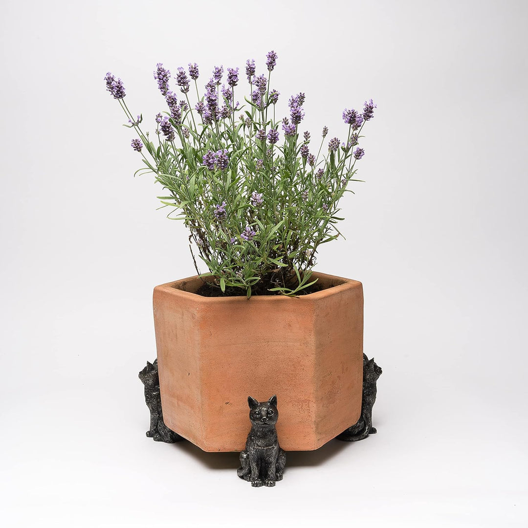 Potty Feet Kübelfüsse Katze 3er-Set Sitzende Katze, Sitzende Katze