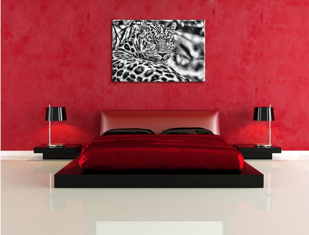 Pixxprint aufmerksamer Leopard im Schatten als Leinwandbild/Grösse: 100x70 / Wandbild/Kunstdruck/fer