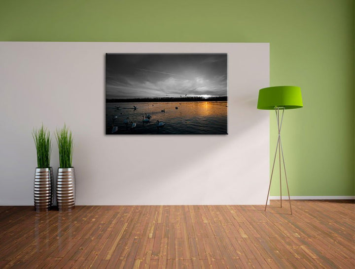 Weisse Schwäne im Sonnenuntergang schwarz/weiss Format: 100x70 auf Leinwand, XXL riesige Bilder fert