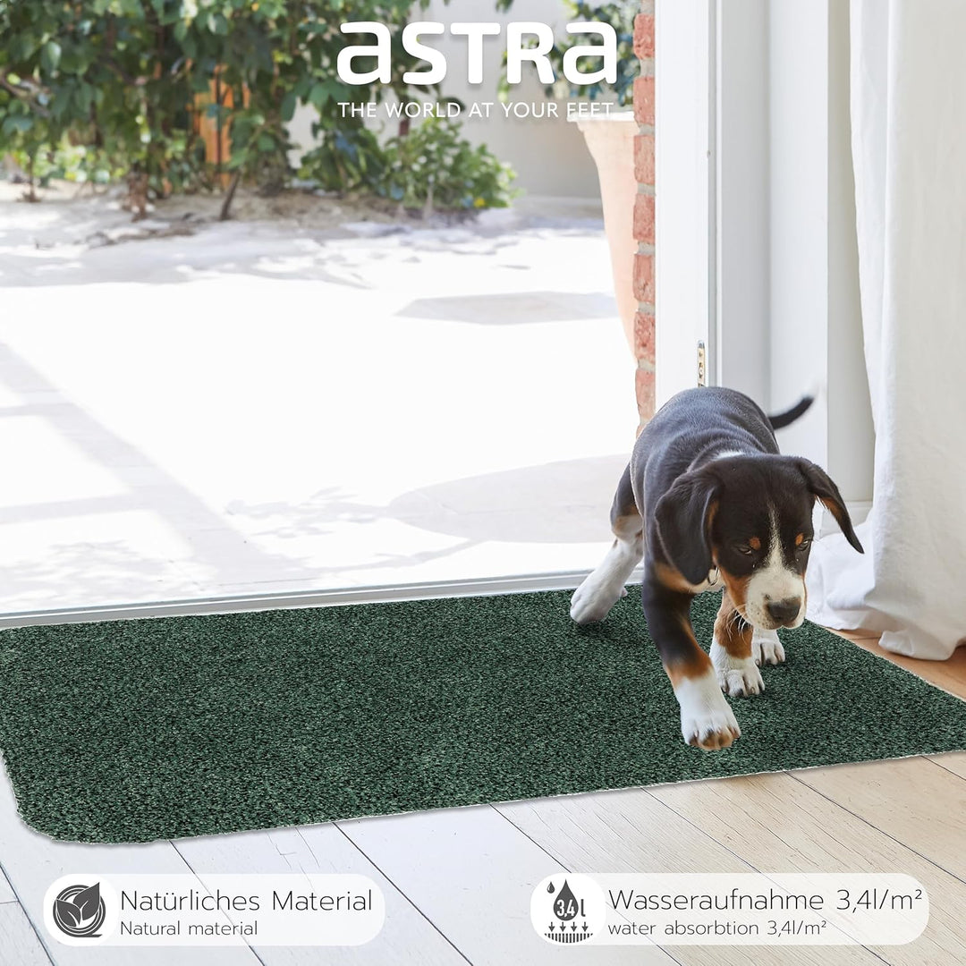 Astra rutschfeste Schmutzfangmatte innen waschbar - 2er Set Grün 60 x 75 cm 60 x 75 cm - 2er Set Grü