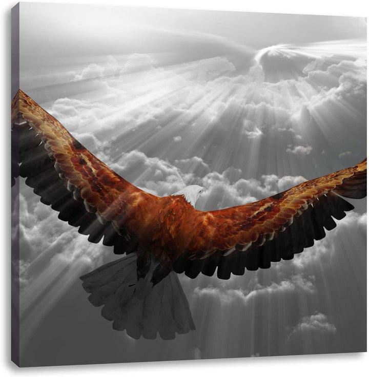 Pixxprint anmutiger Adler über den Wolken schwarz/weiss, Format: 70x70 auf Leinwand, 70x70