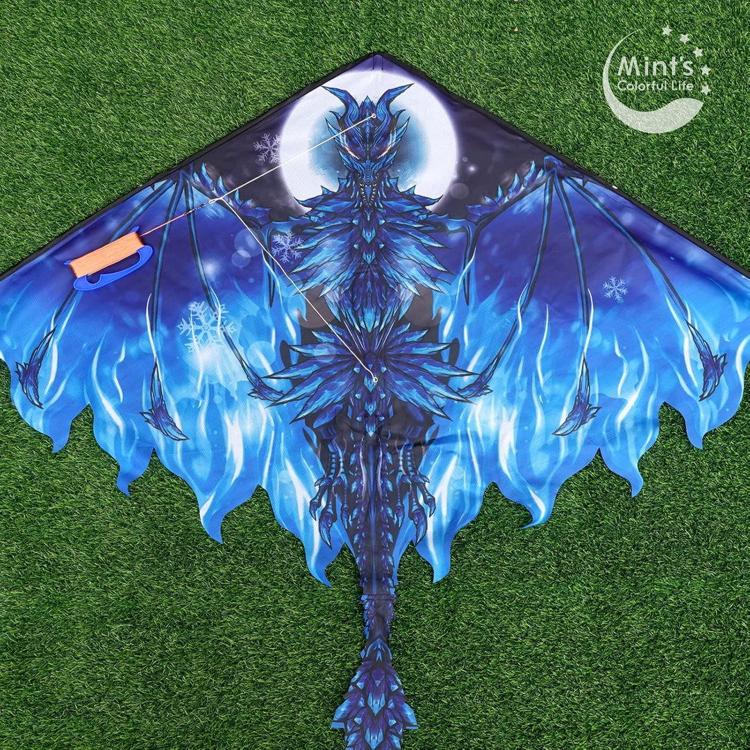 Mint's Colorful Life Drachen Drache für Kinder Erwachsene, einleiner flugdrachen Bester Gross Beach