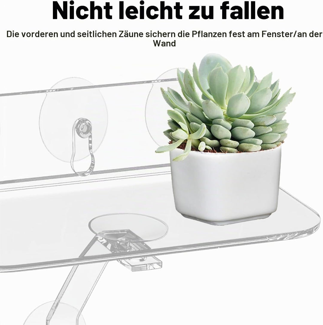 2 Stück Fenster Pflanzenregale: Clear Acryl Fenster Regal für Pflanzen mit Beinen, 30cm Hängendes tr