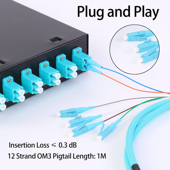 toolco LC-MM 6-Port OM3-Boxkabel 12-Port-Glasfasergehäuse zur Wandmontage mit Spule OM3-Multimode-LC