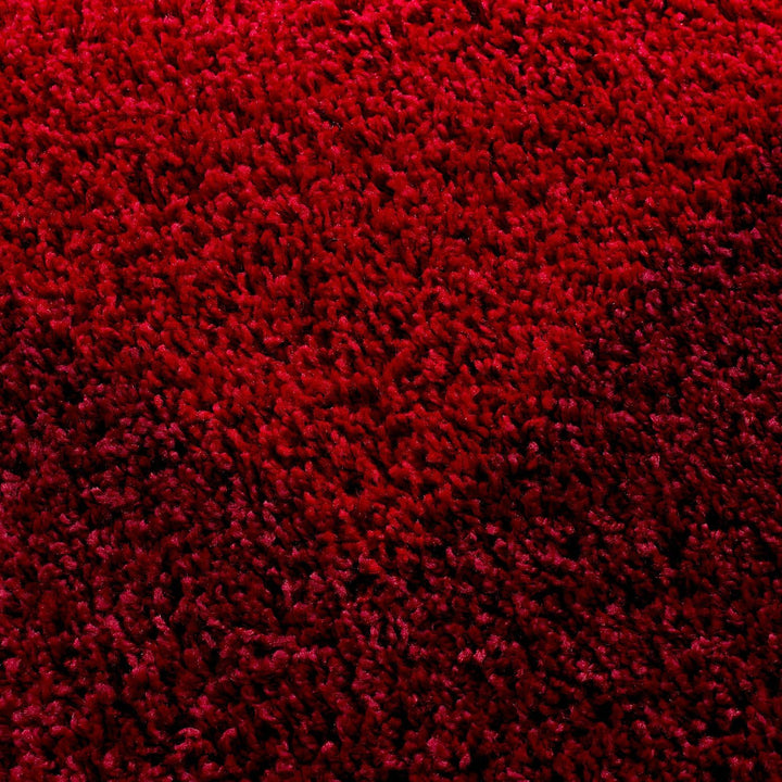 Carpettex Hochflor Teppich Wohnzimmer Shaggy Flokati Teppich Modern Bordüre Design 80 x 250 cm Flur