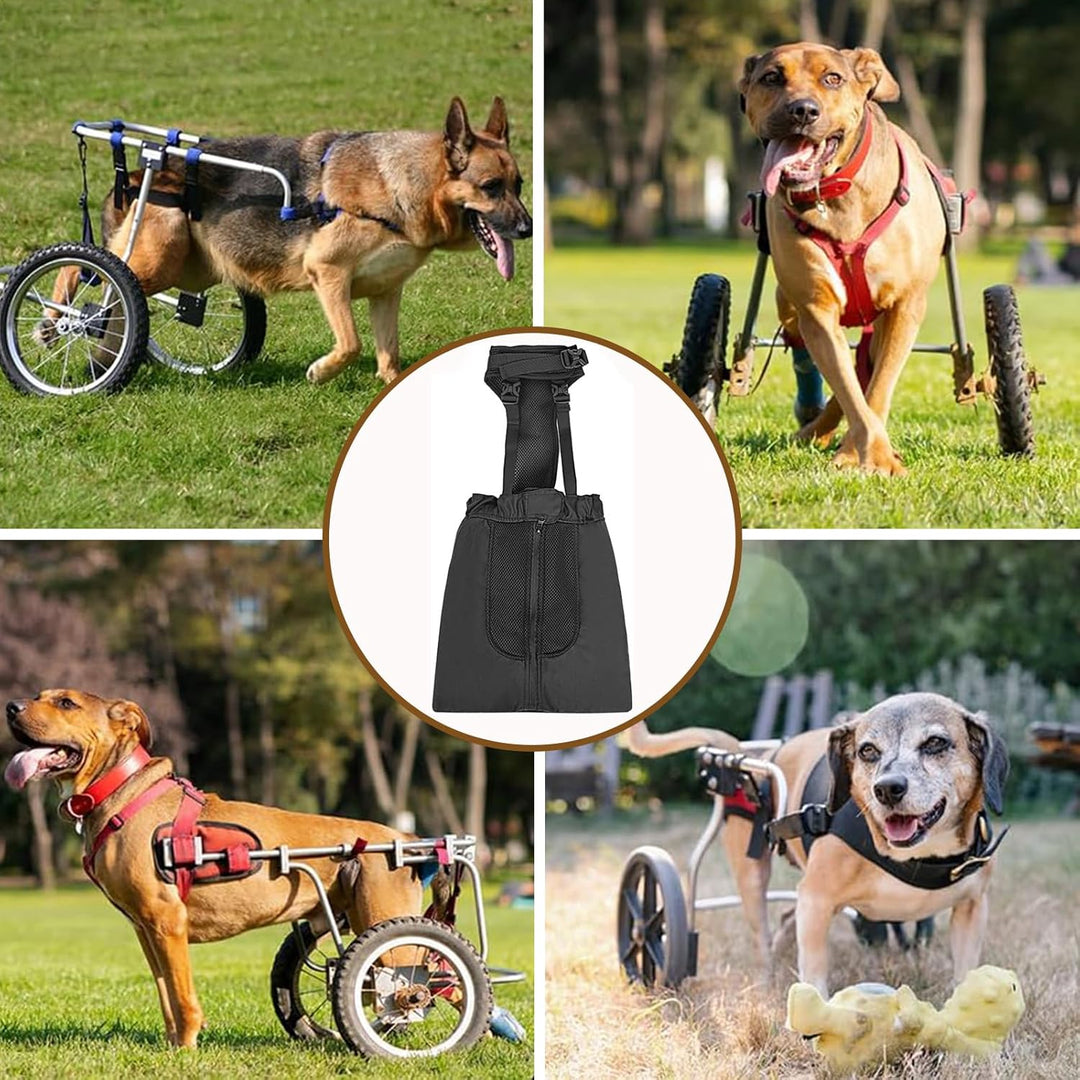 Hund-Tow-Bag – Schonender Tragebeutel für gelähmte/hinterlähmte Hunde, Nylon, atmungsaktiv, inkl. Gu