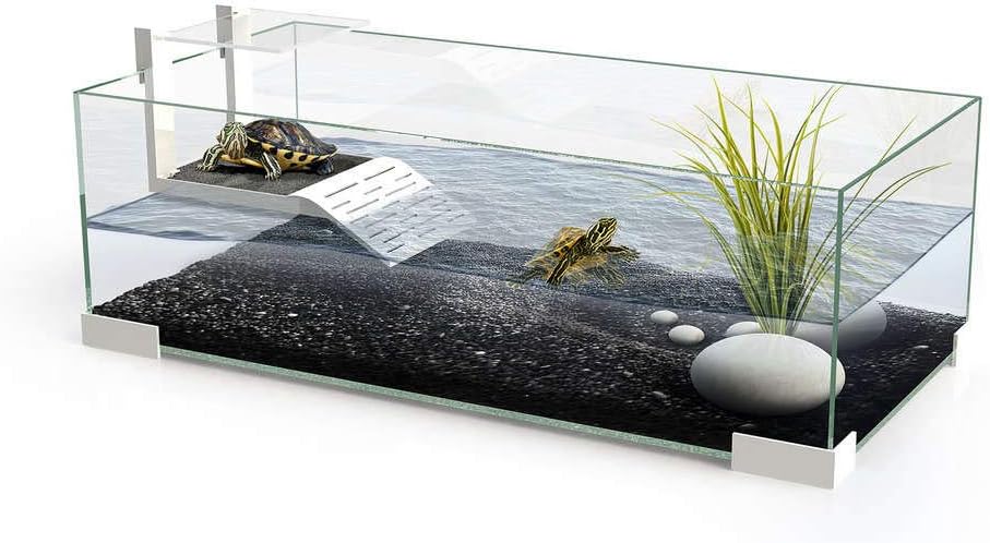 Ciano Tartarium 60 Turtle Terrapin Reptile Glass Tank with Ramp by Ciano