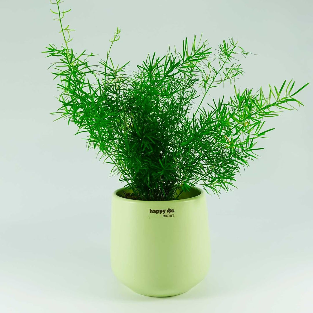happy nature Set6 Keramik Blumentopf Sylt Mint grün Ø 13 cm H 13,5 cm