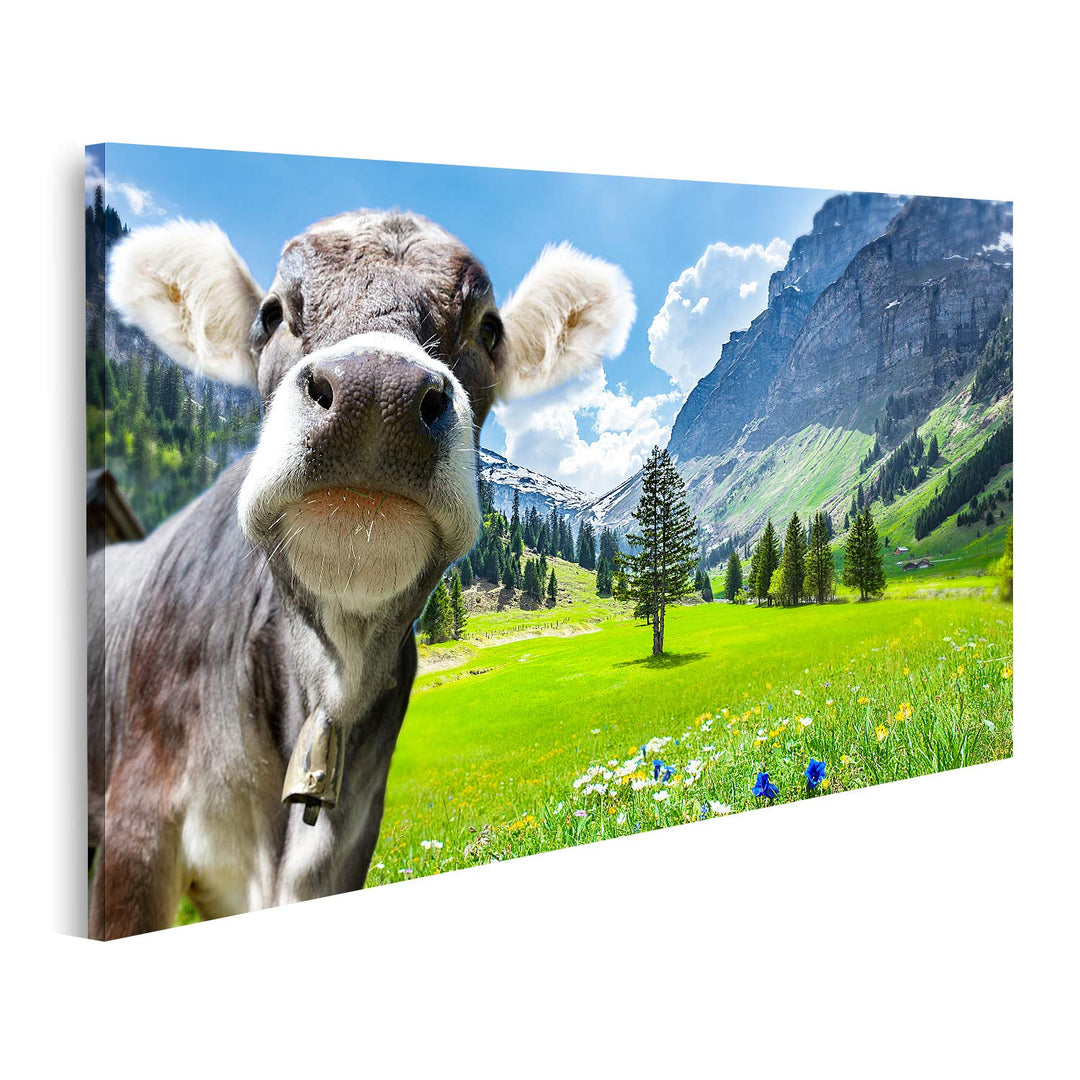 Bild auf Leinwand Kuh in den Schweizer Alpen Bilder Wandbild Poster Leinwandbild 100x57cm, 100x57cm