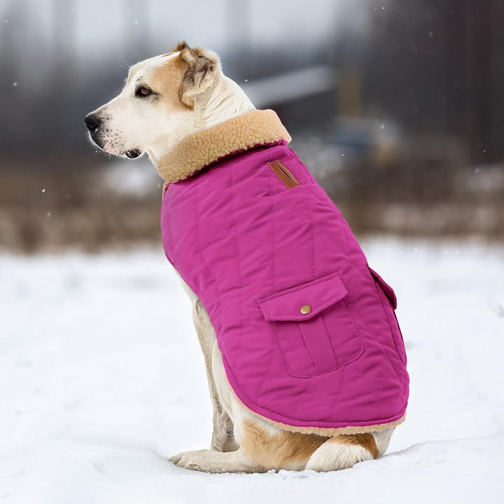 CITÉTOILE Wintermantel Hundemantel, Warme Winterjacken mit Fleece für Hunde,Hundejacke Hundekleidung