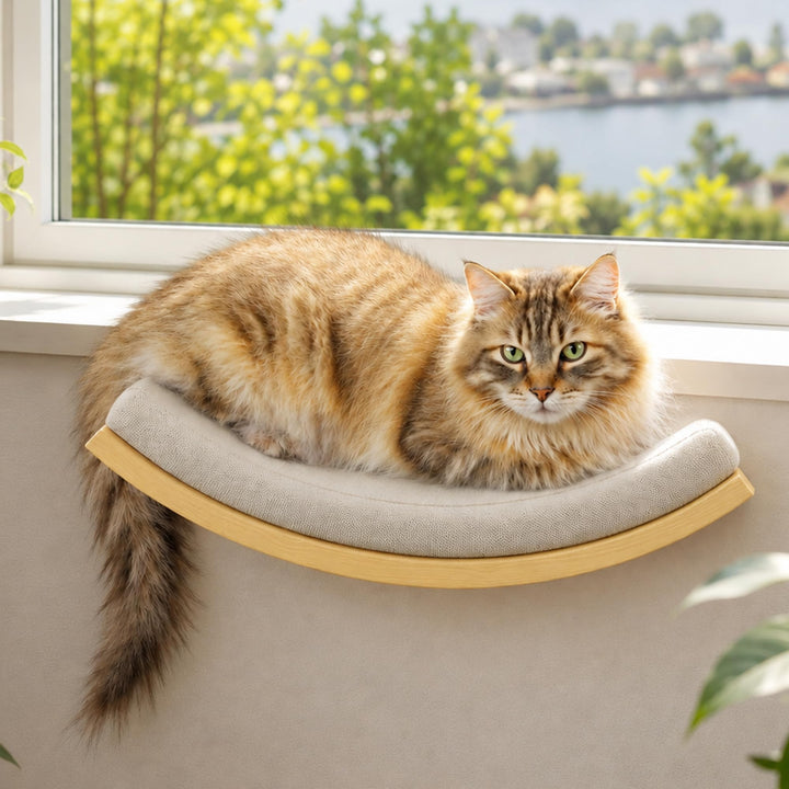 Katzen Kletterwand, Gebogenes Katzen-Wandregal mit Schaumstoffmatte, Wandmontiertes Massivholz Katze
