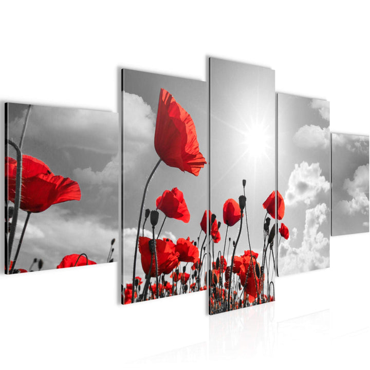 Runa Art Wandbilder Blumen Mohnblume 5 Teilig Bild auf Vlies Leinwand Deko Wohnzimmer Feld Grau Rot