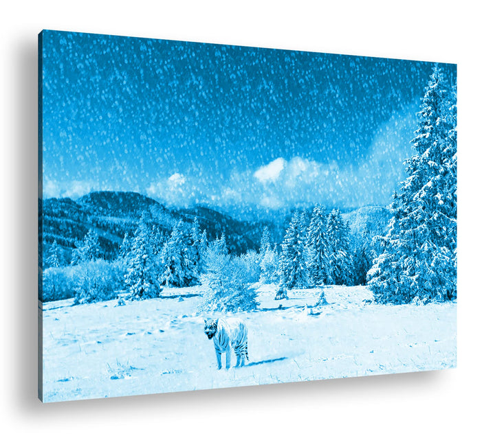 deyoli Tiger im Schneesturm Format 80x60 Effekt: Monocrome Blau als Leinwandbild, Motiv fertig gerah