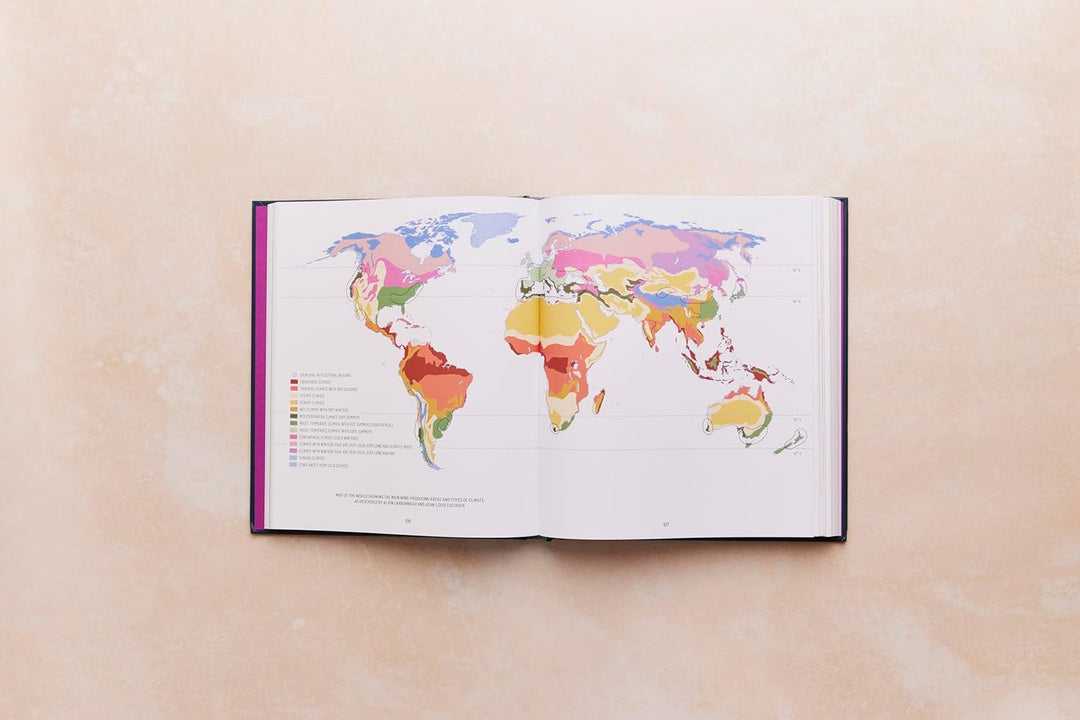 One Thousand Vines: A New Way to Understand Wine, Gebundenes Buch
