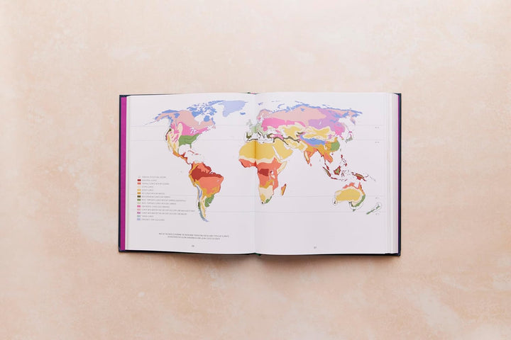 One Thousand Vines: A New Way to Understand Wine, Gebundenes Buch