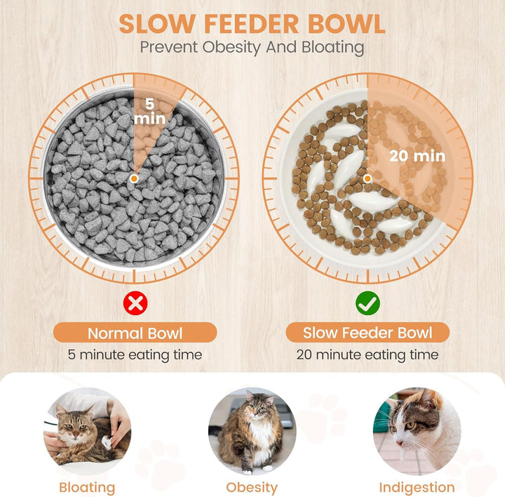 PETTOM Anti Schling Napf Katze Erhöht, Keramik Antischlingnapf Katze, Slow Feeder Katze Nassfutter,