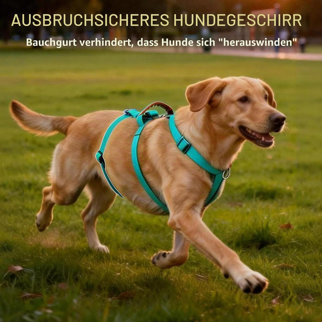 Hundegeschirr Ausbruchsicher, Anti Zug Sicherheitsgeschirr Hund, Verstellbare Brustgeschirr mit Gepo