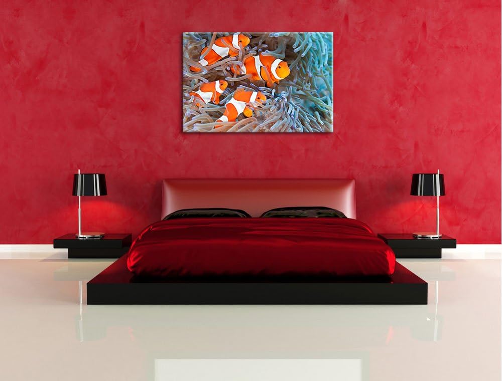 Clownsfische in Anemone Format: 100x70 auf Leinwand, XXL riesige Bilder fertig gerahmt mit Keilrahme