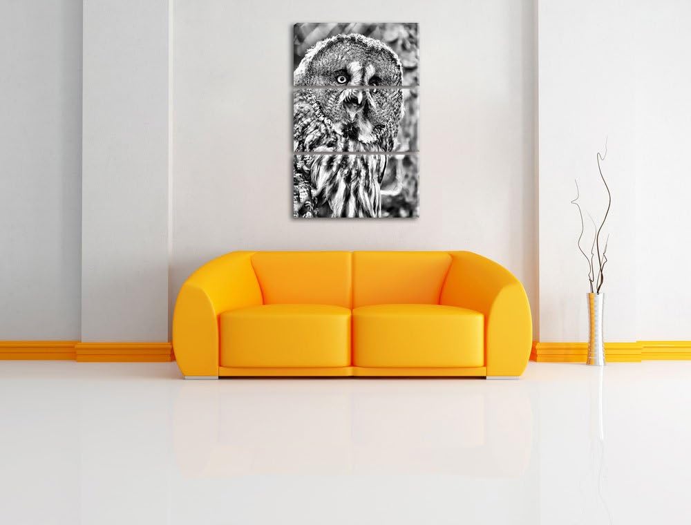 Pixxprint prächtiger Habichtskauz als Leinwandbild/Grösse: 3 Teilig (120x80) cm/Wandbild/Kunstdruck/
