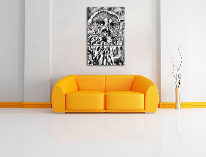 Pixxprint prächtiger Habichtskauz als Leinwandbild/Grösse: 3 Teilig (120x80) cm/Wandbild/Kunstdruck/
