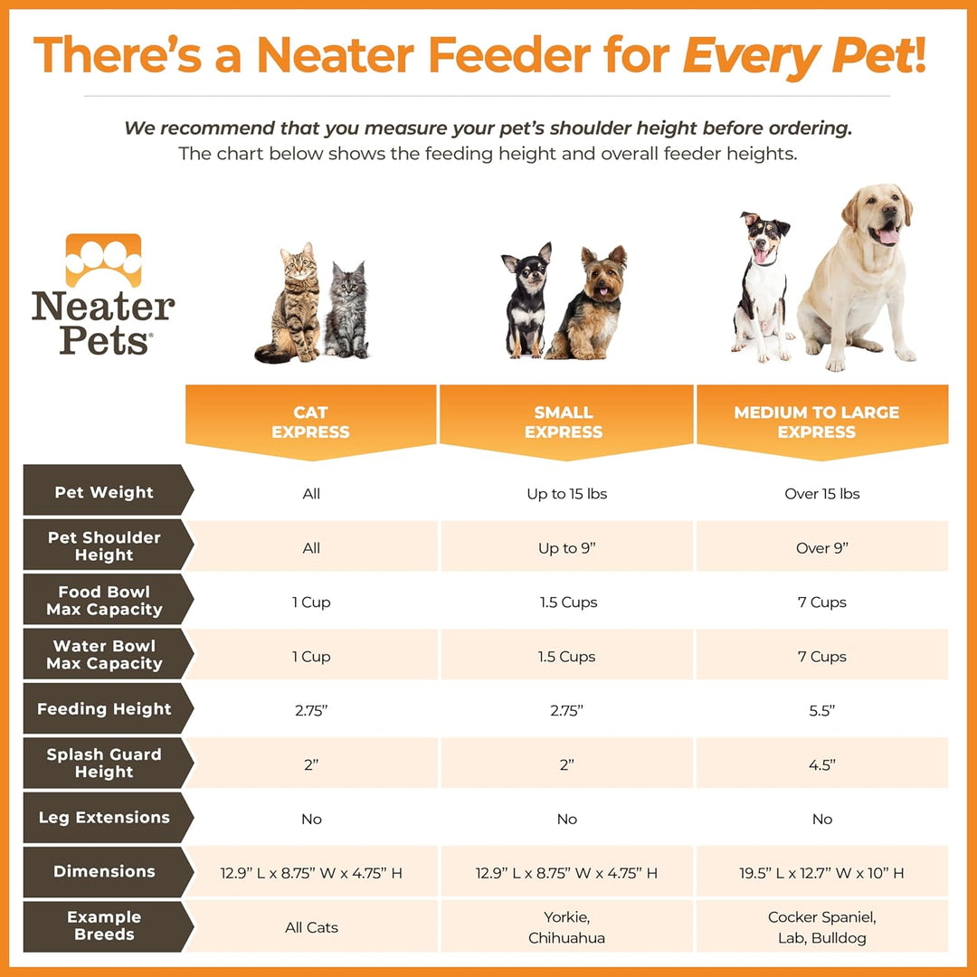Neater Feeder Express – Erhöhte Katzennäpfe – Erhöhter Katzenfutterspender aus Edelstahl (Katze, Dun