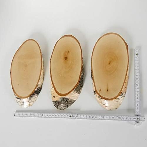 3 Stück Birke Schilder Trophäenschilder REH Rehbock Geweih Baumscheibe Baumschild Natur Holz modern
