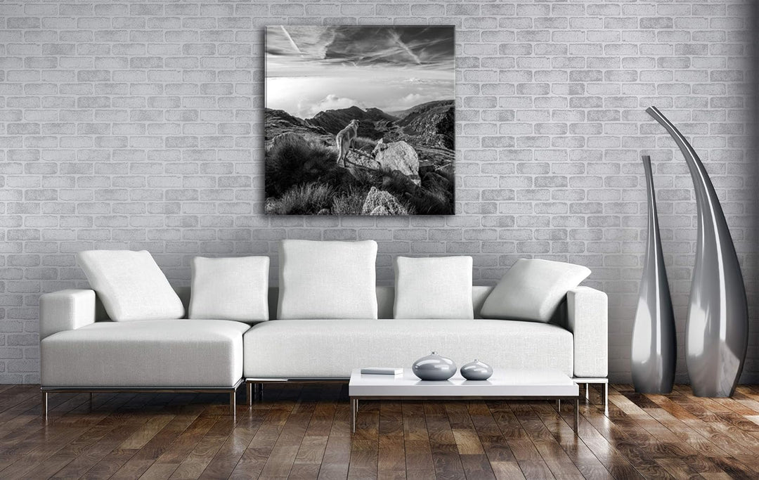 Hund auf einen Berg über den Wolken Format: 60x60 Effekt: Schwarz&Weiss als Leinwandbild, Motiv auf