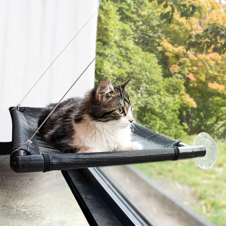 duvoplus DUVO Fenster - Hängematte für Katzen Schwarz 66x40x2,5cm