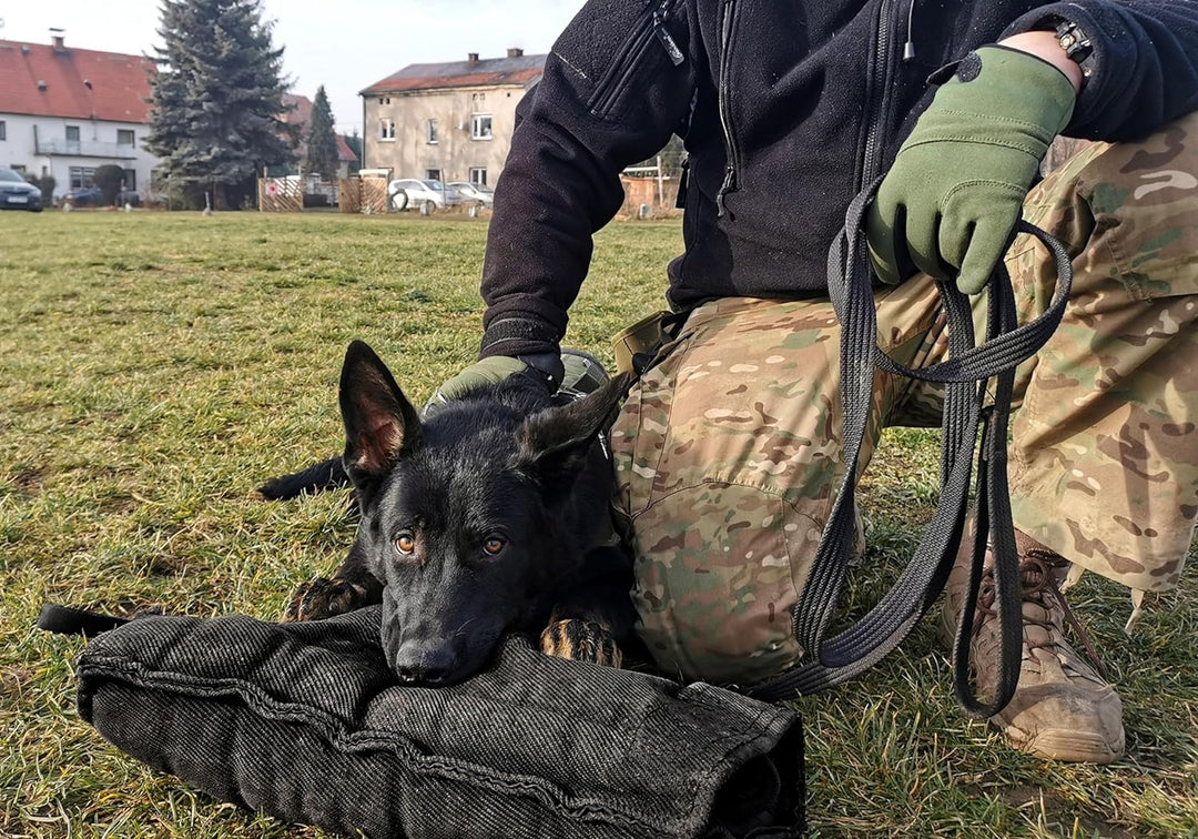 Dingo Gear Schutzarm Extern MEDIUM aus Nylcot Schwarz Bissmanschette Hundeausbildung Hundetraining B