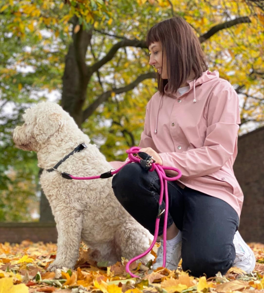Leisegrün Hundeleine Derby | 2m Länge, Robustes Nylon, Flexibel verstellbar für mittelgrosse bis gro