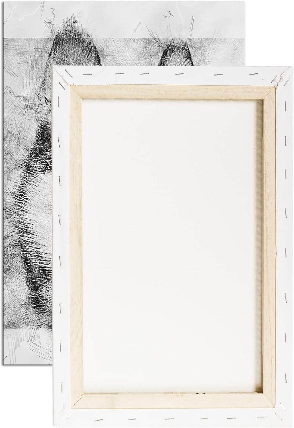 deyoli friedlicher Hund Effekt: Schwarz&Weiss Format: 80x60 als Leinwandbild, Motiv fertig gerahmt a