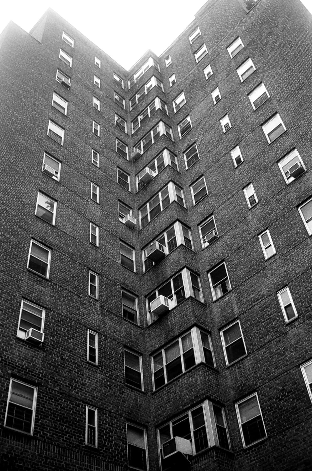Foma Fomapan 100 ISO Black &amp; White Negative Film, 4x5, 50 Sheets 4 x 5, 4 x 5