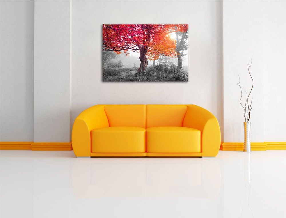 Zauberhafte Waldlandschaft schwarz/weiss Format: 100x70 cm auf Leinwand, XXL riesige Bilder fertig g