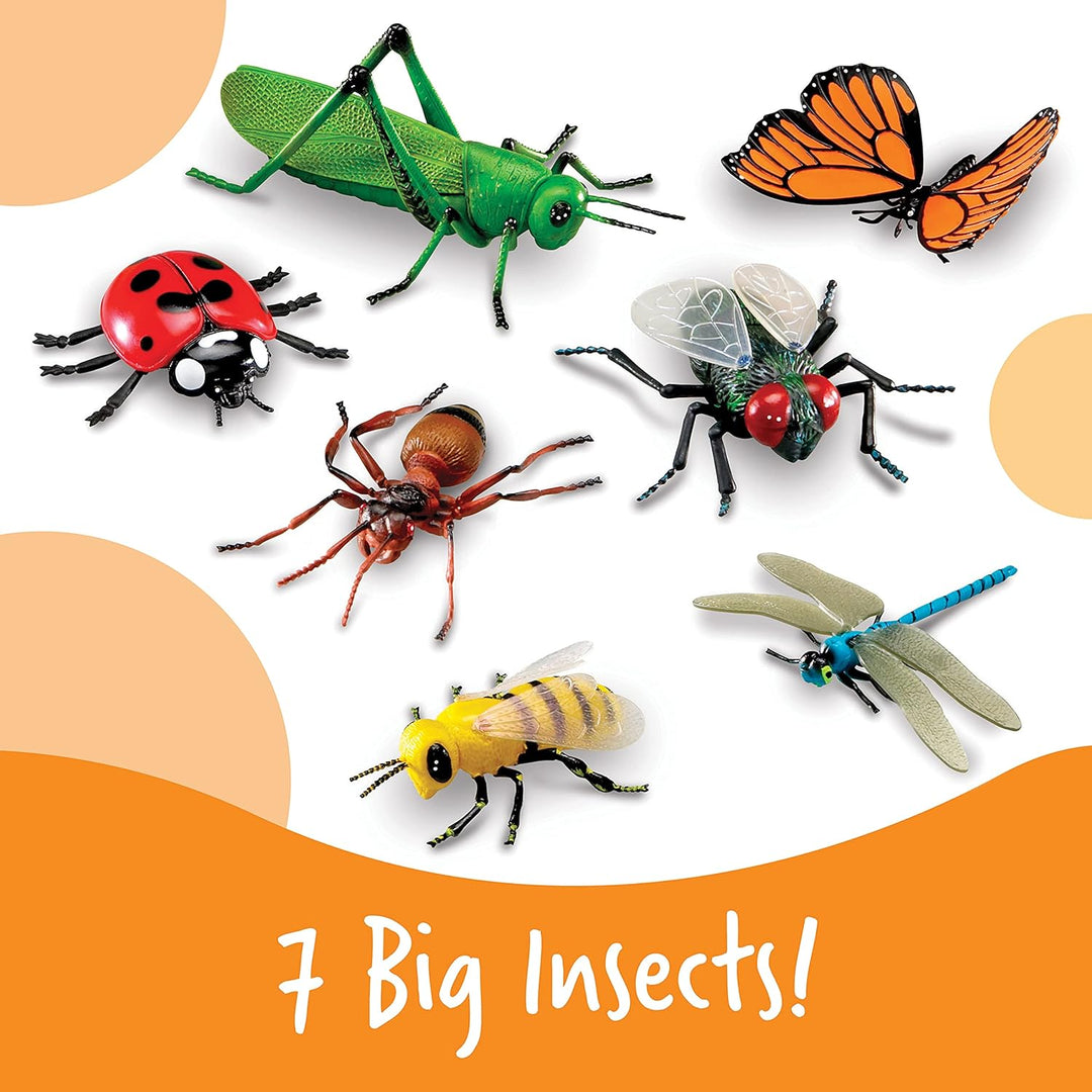 Learning Resources Insekten, Mittel