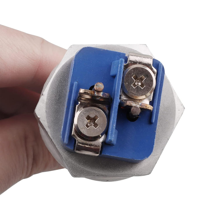 AIICIOO Heizelement 240v 1000w 1 Zoll BSP (DN25) Edelstahl mit Silikon-O-Ring, 240V 1000W