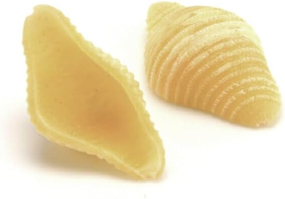 Pastidea - Matrize Zubehör aus Bronze Conchiglia Rigata Gigante/sehr grosse Muschel mit Streifen für