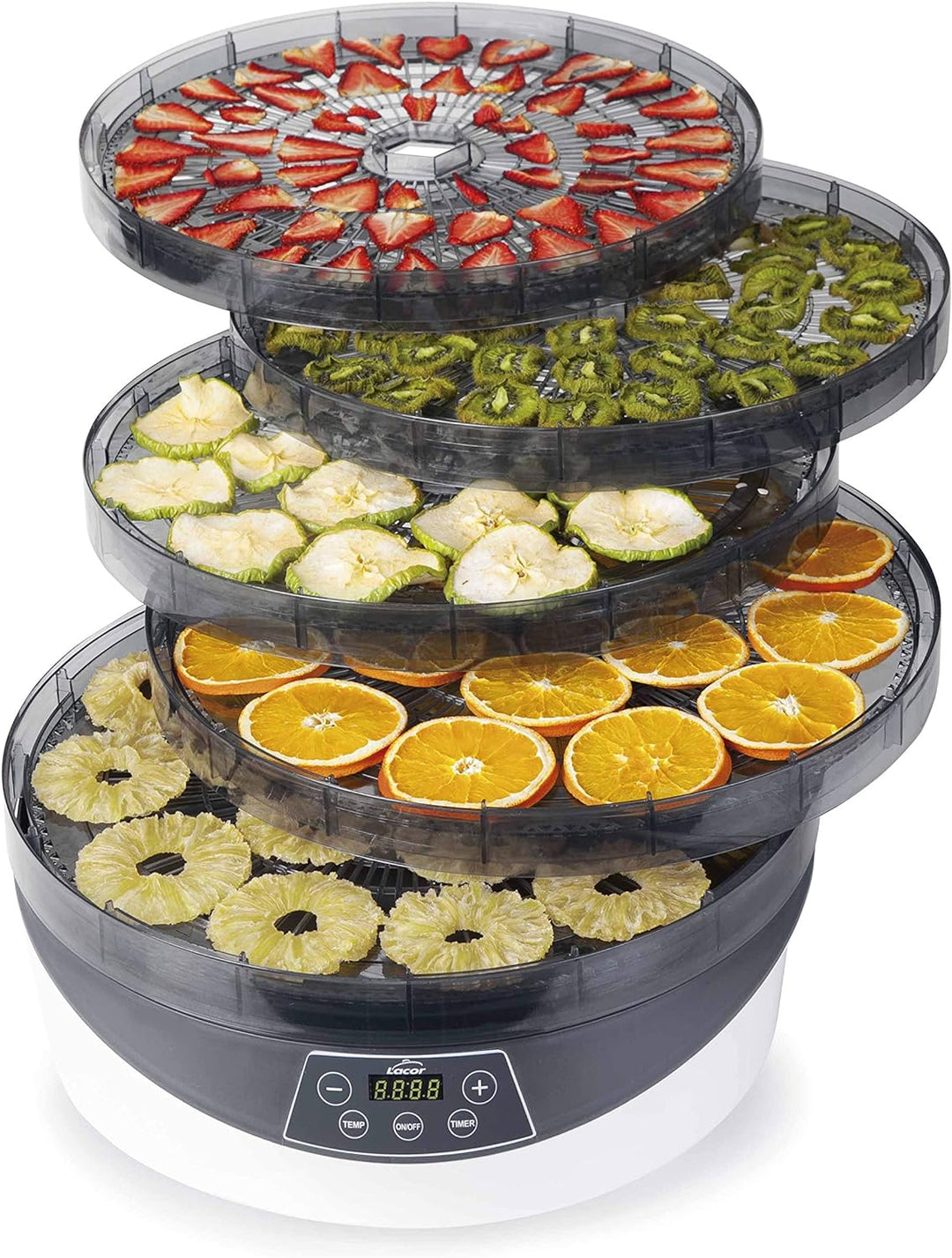 Lacor Dörrgerät Terra Semiprofessional, Semiprofessional