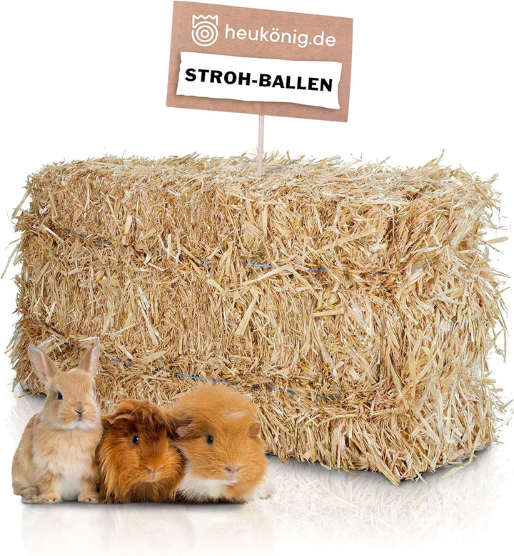 Weizenstroh 2 Ballen je ca. 12 kg aus dem Rheinland in bester Qualität von Heukönig 12 kg (2er Pack)