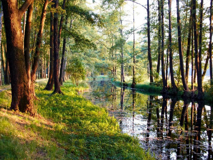 CALVENDO Puzzle Fliess im Spreewald 1000 Teile Lege-Grösse 64 x 48 cm Foto-Puzzle Bild von Veronika