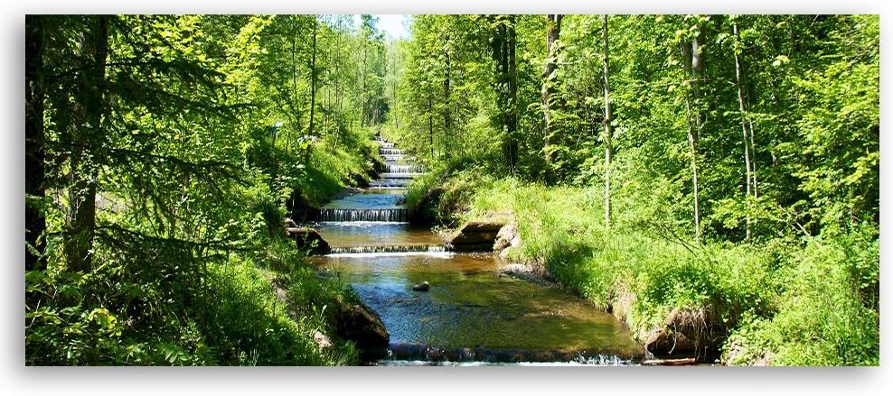 Feeby Leinwandbild Wald Bild Kunstdruck Landschaft Grün 150x50 cm Leinwandbild 150x50 cm Grün_c, Lei