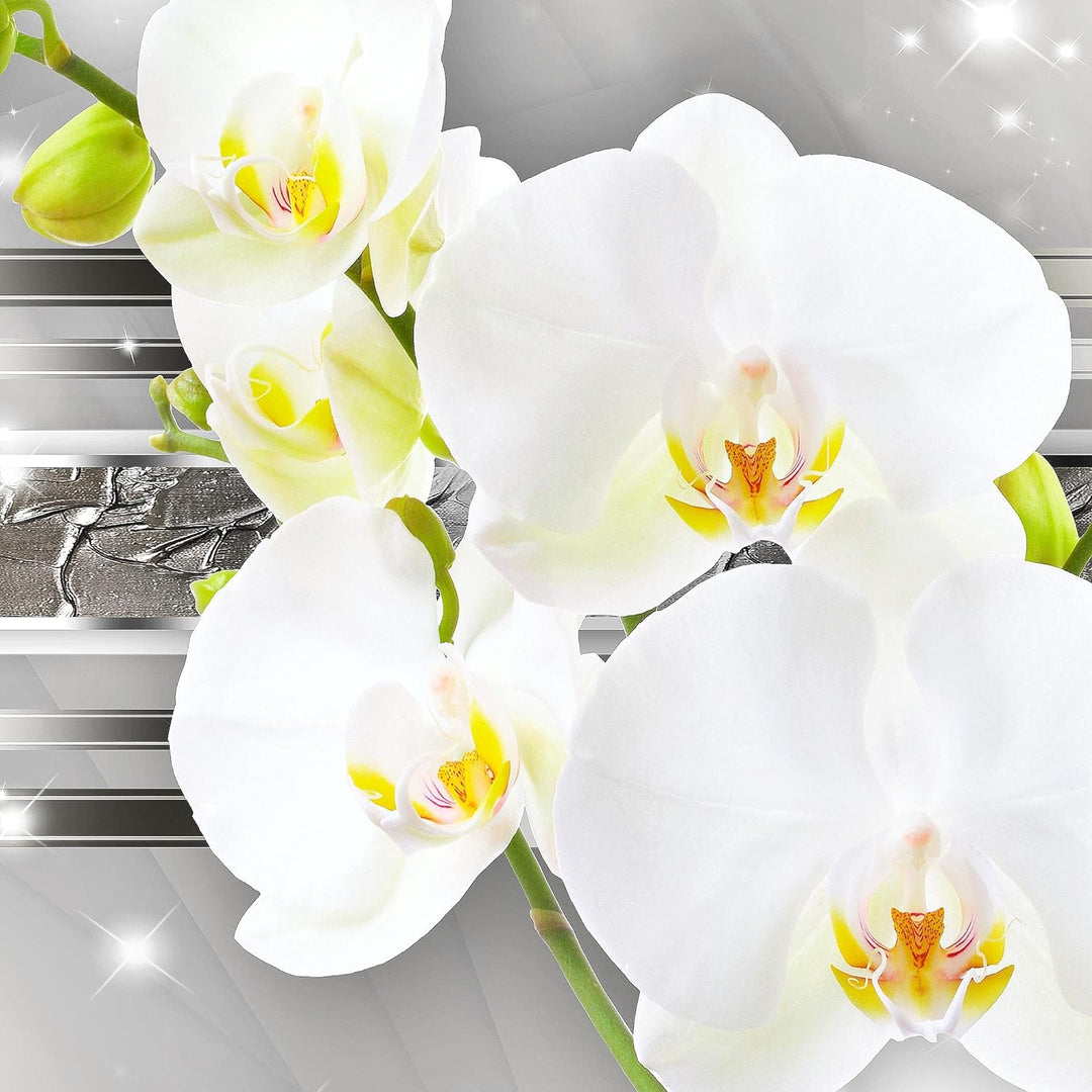 Runa Art Wandbilder Blumen Orchidee 5 Teilig Bild auf Vlies Leinwand Deko Wohnzimmer Ornament Silber