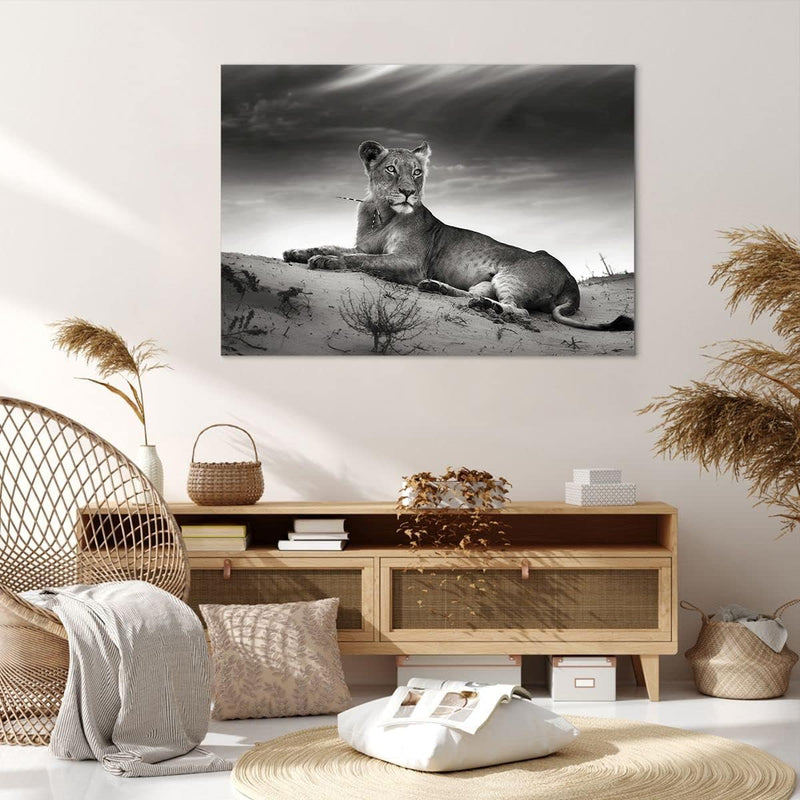 Bilder auf Leinwand 100x70cm Leinwandbild Tierwelt weiblich katze Tier Gross Wanddeko Bild Schlafzim