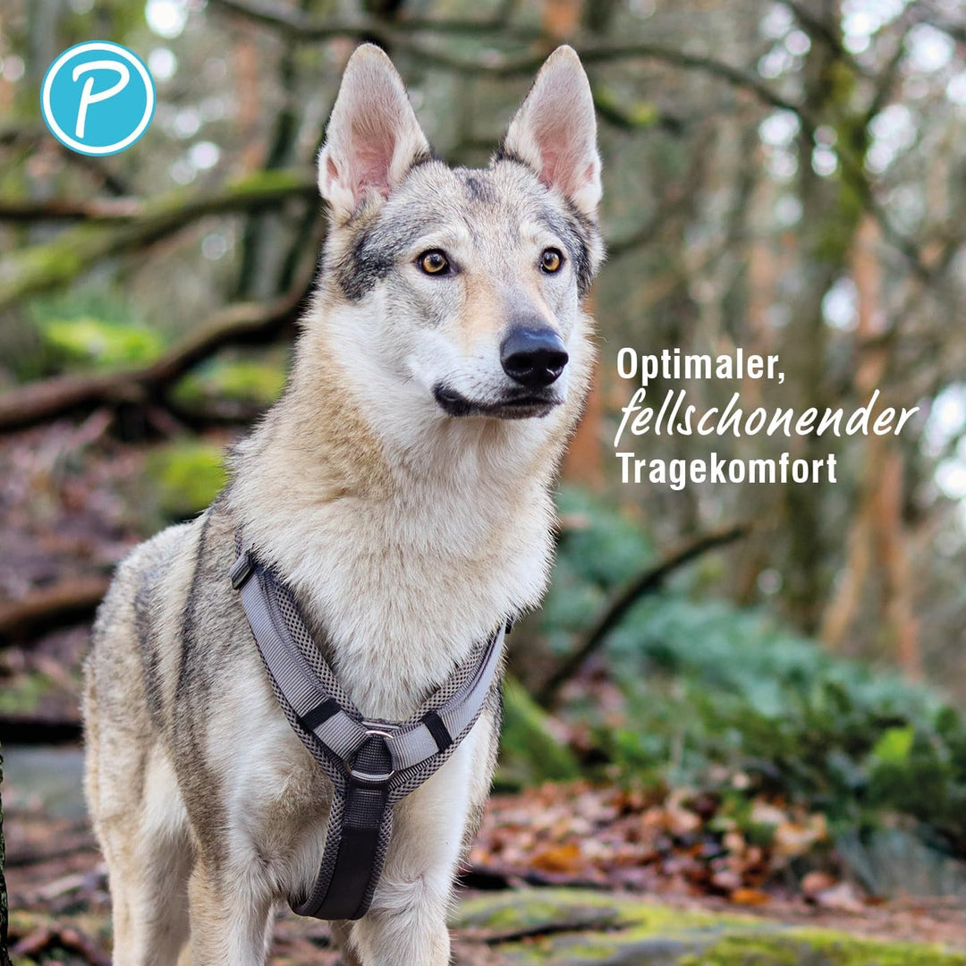 Petlando Hundegeschirr gepolstert, Mesh Y-Comfort, weich, stufenlos verstellbar, besonders leicht &amp;