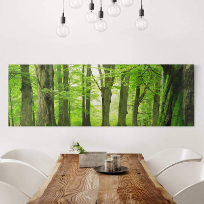 Bilderwelten Leinwandbild Top Wandbild Panorama 30 x 90cm Mighty Beech Trees 30cm x 90cm Mighty Beec