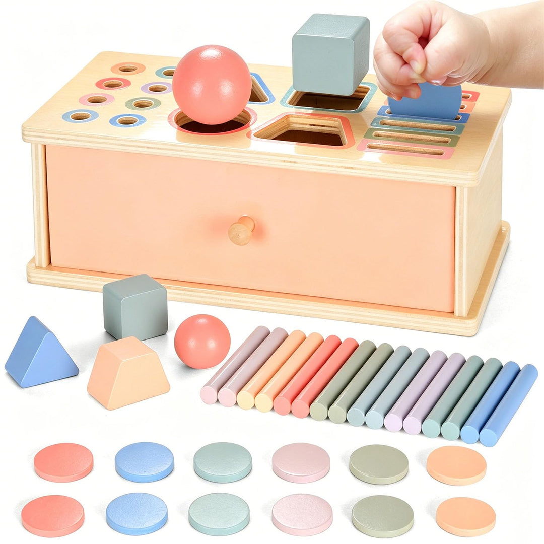 Montessori Spielzeug ab 1 2 3 Jahr, Farbe Form Sortierspiel ab 1 Jahr, Holzspielzeug Montessori ab 2