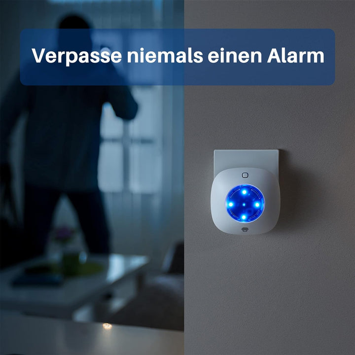 Diebstahlwarnanlage