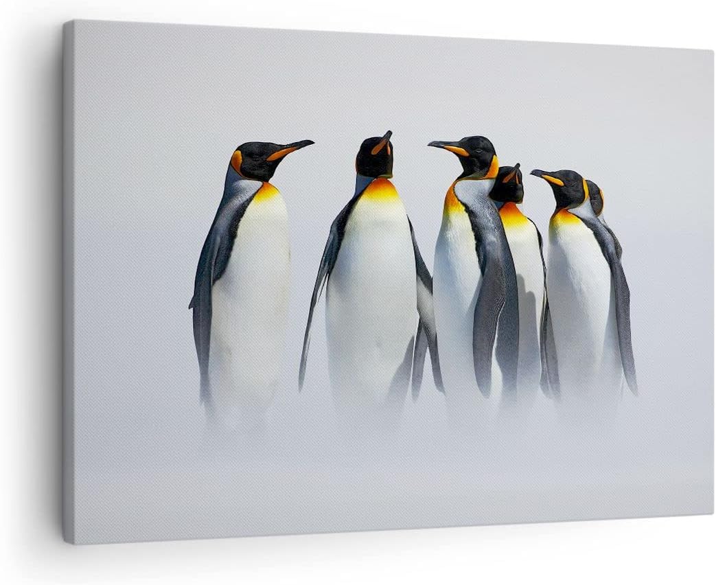 Bilder auf Leinwand Pinguine Winter Schnee Spaziergang Leinwandbild 70x50cm Wandbilder Dekoration Wo