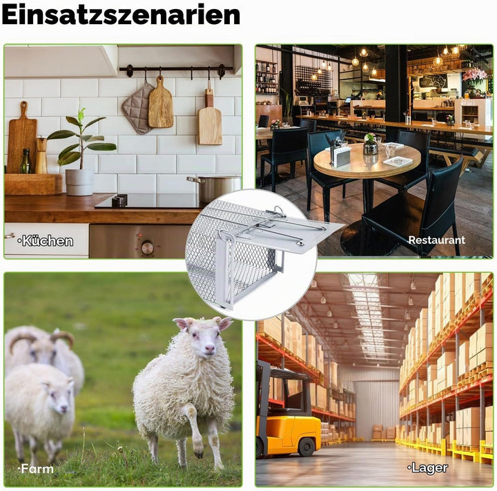 Lebendfalle Mausefalle, XXL Premium Rattenfalle Hochsensitive Mäuse-Futterfalle, Tierfreundlich &amp; Wi